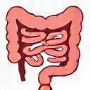 Icono de intestino saludable.